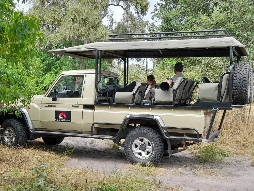 Safari Safari